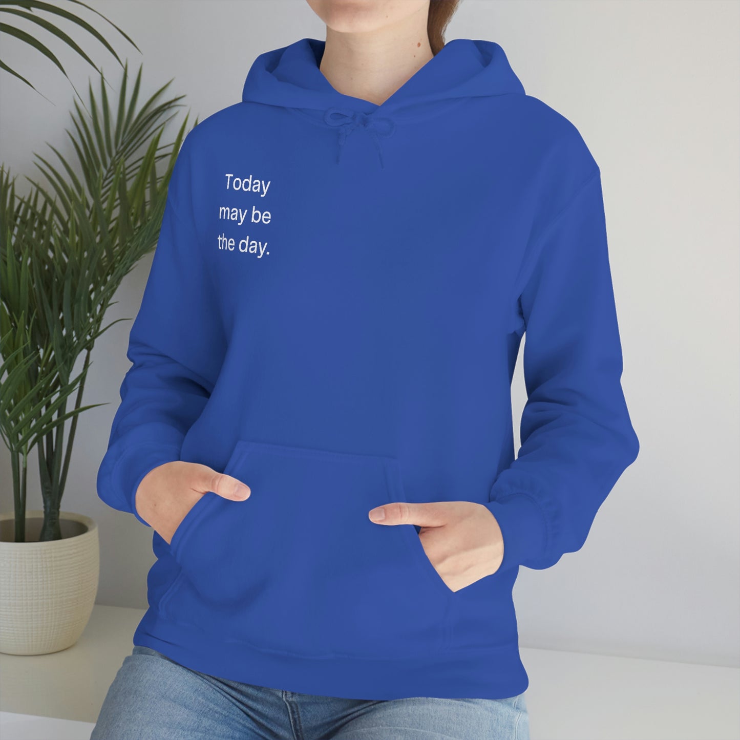 Today may be the day. Hoodie